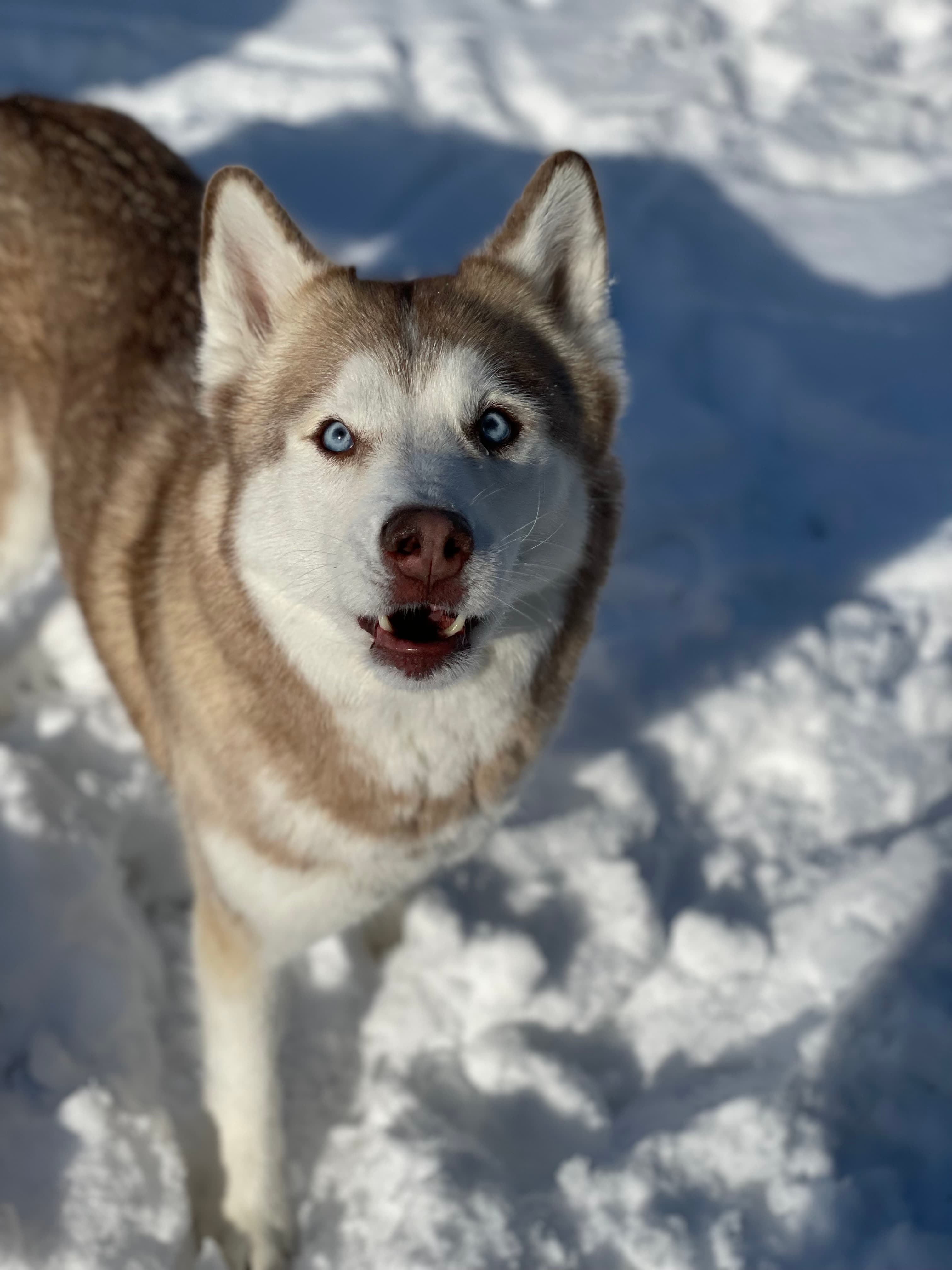 Sky's happy place: mountain air and wide open spaces