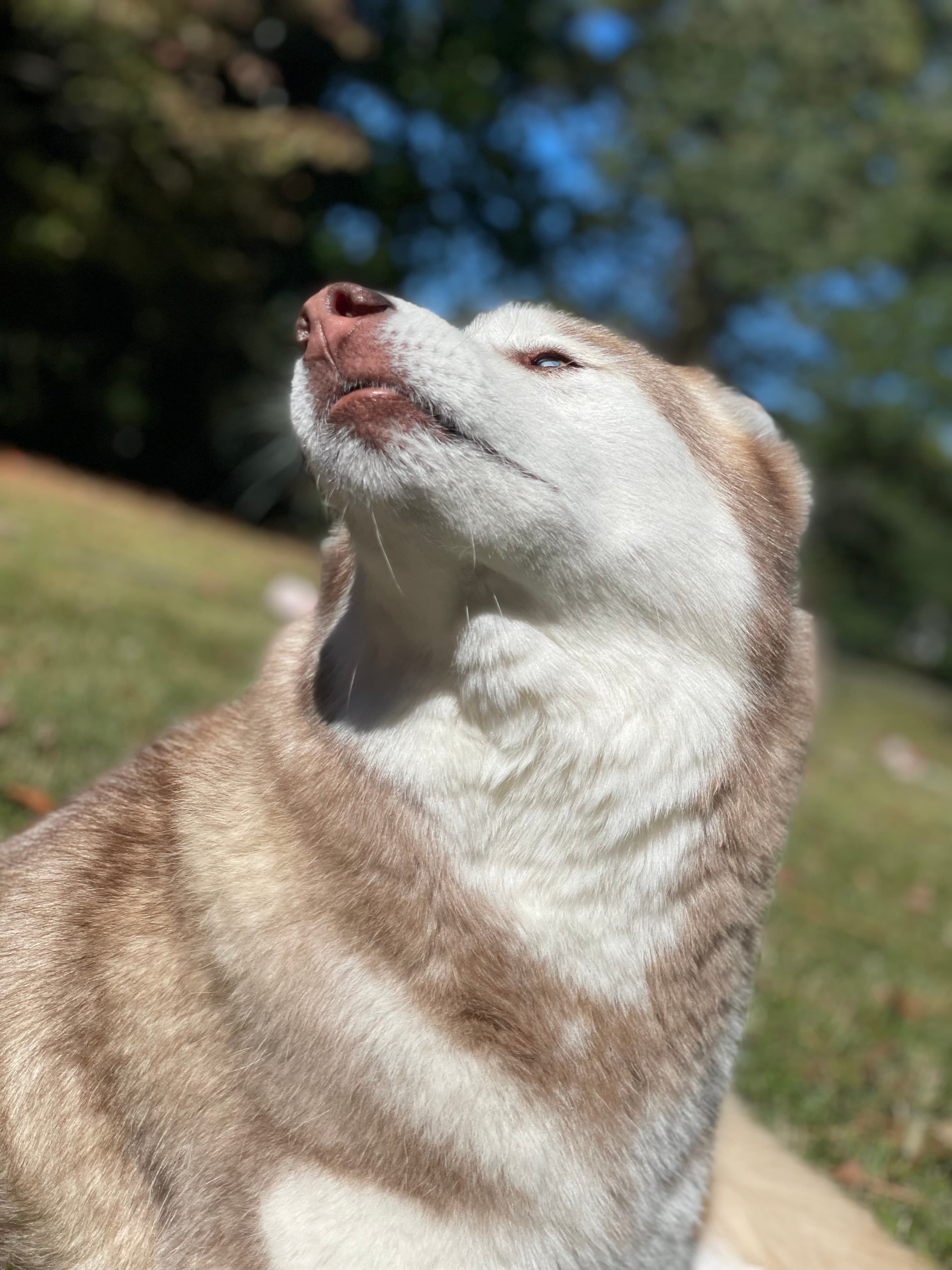 Skylar soaking up the good life