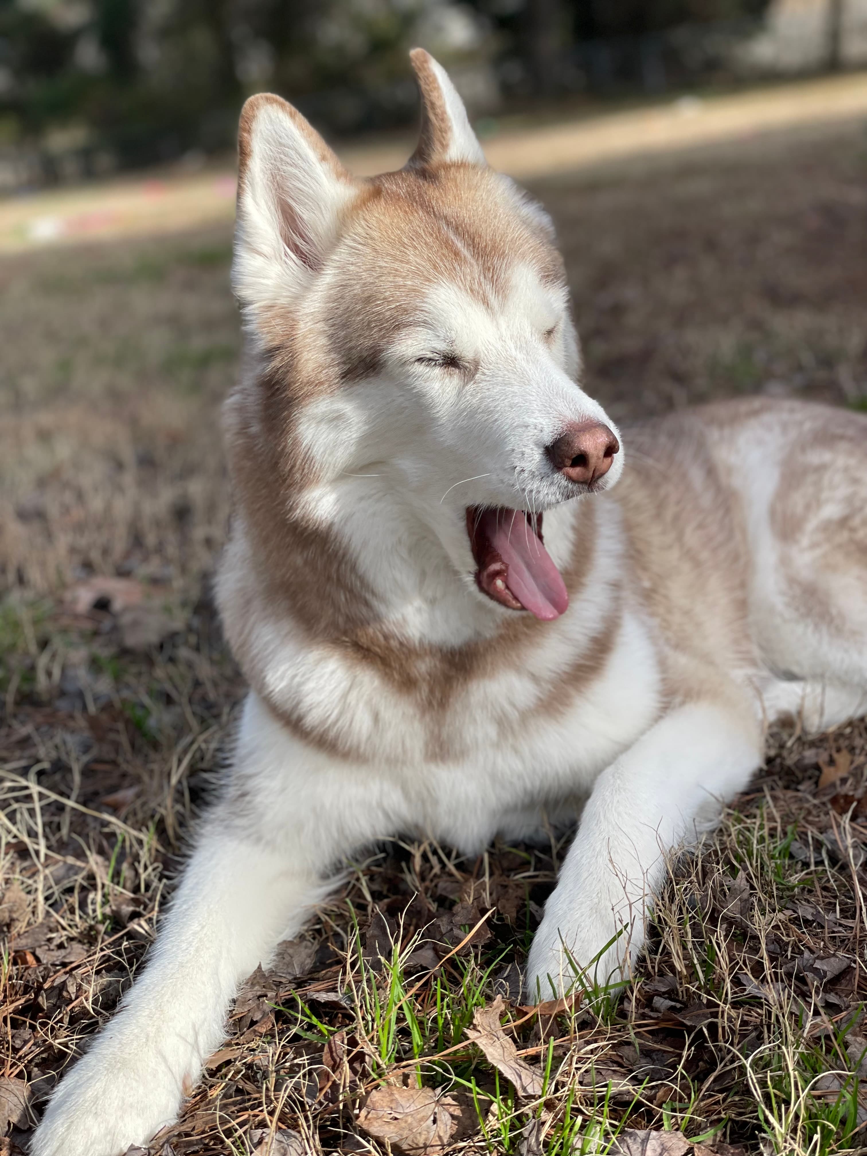 Skylar's happy place—sunshine and that goofy grin