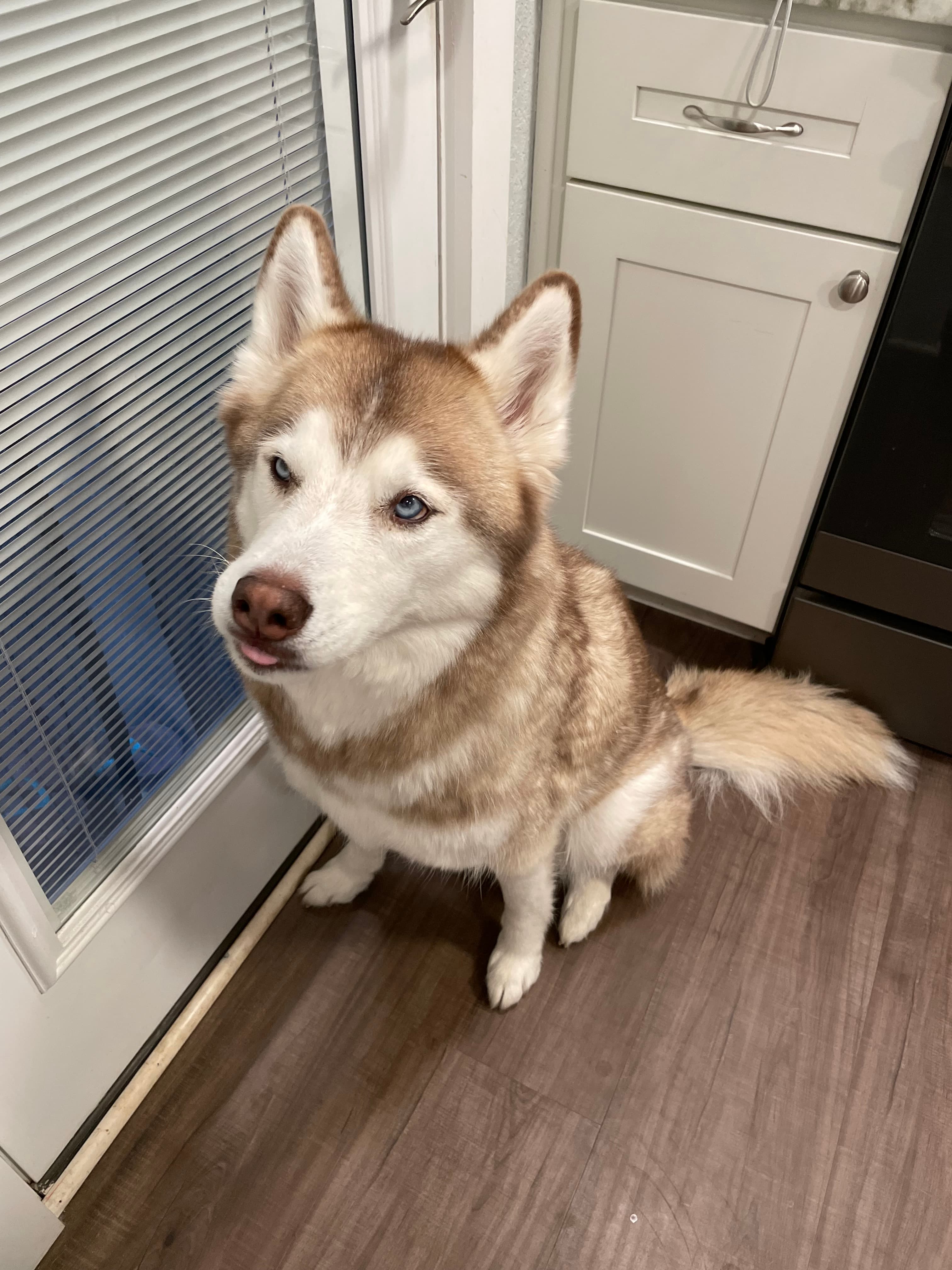 Waiting by the window like she's got somewhere to be
