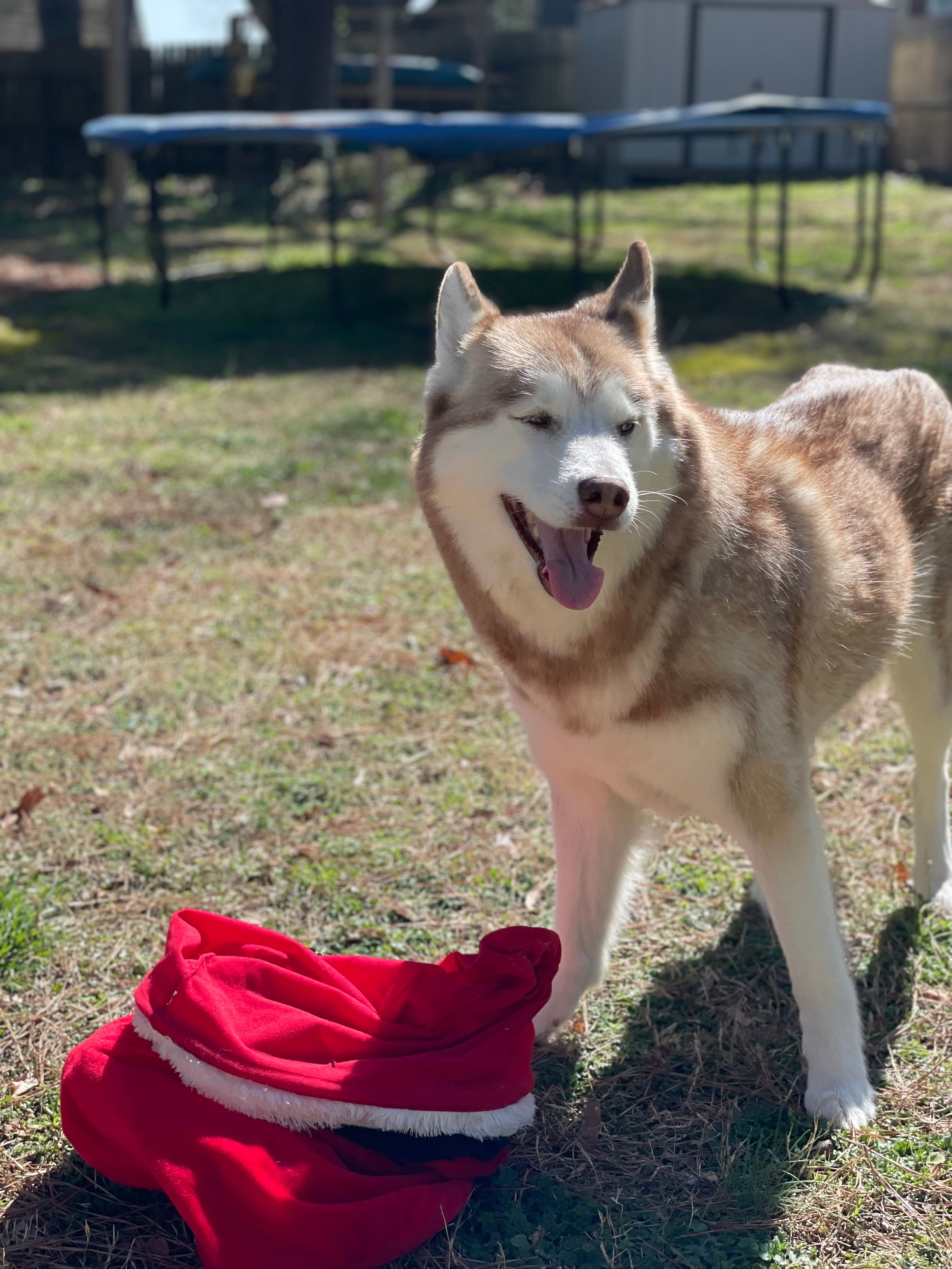 Skylar's smile says it all ❤️