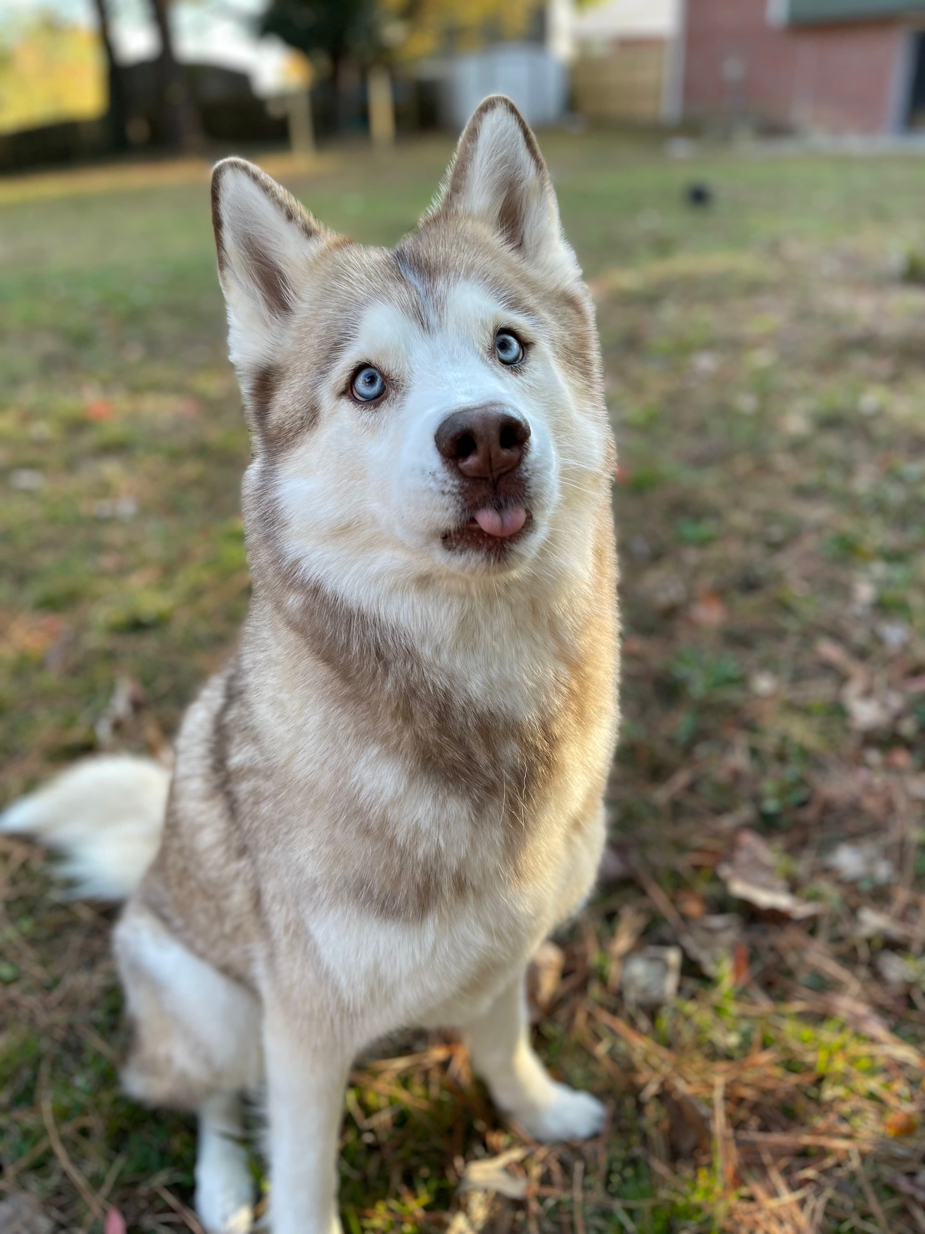 Those eyes get her everything