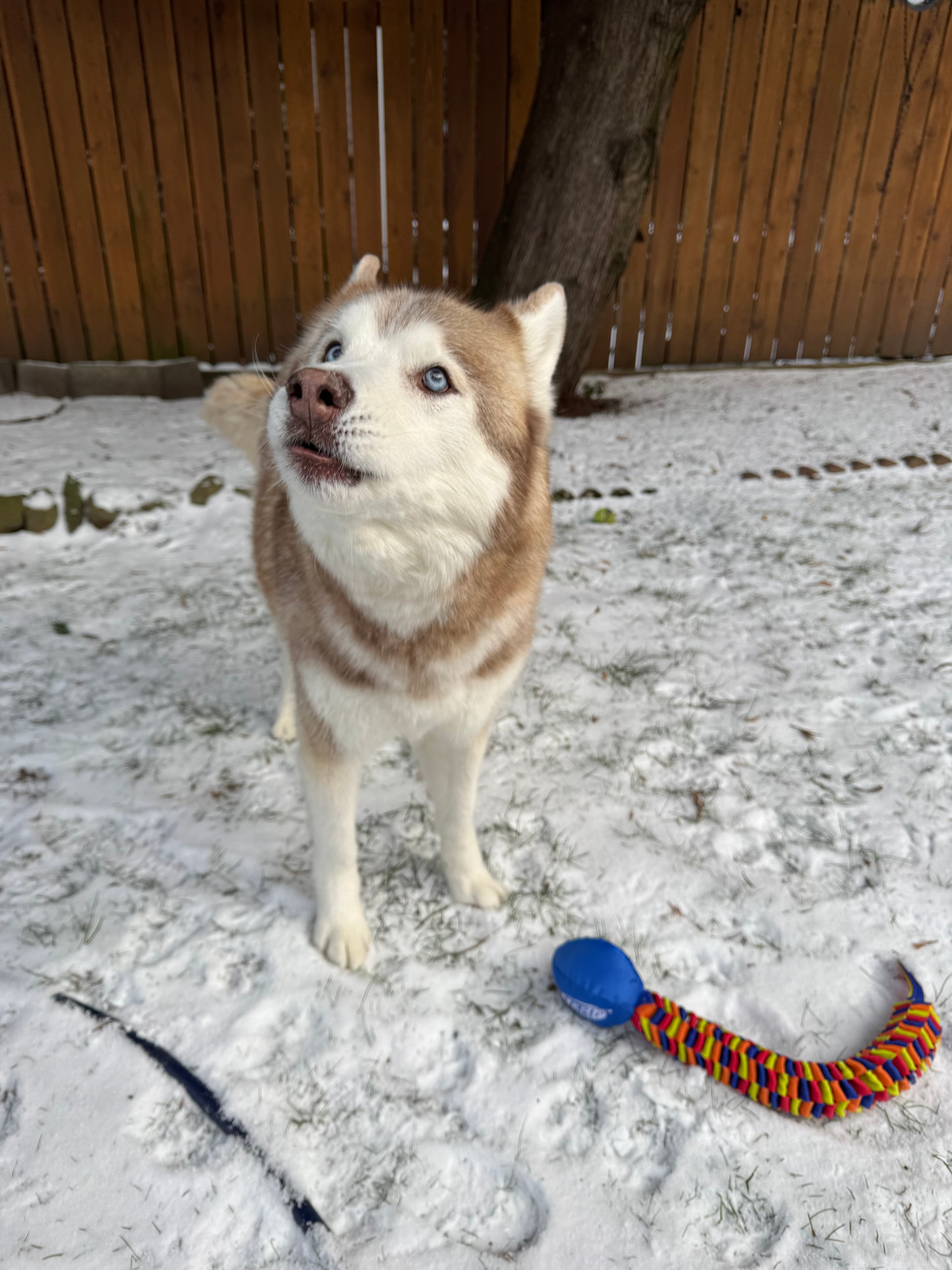 Those eyes get me every time ❤️