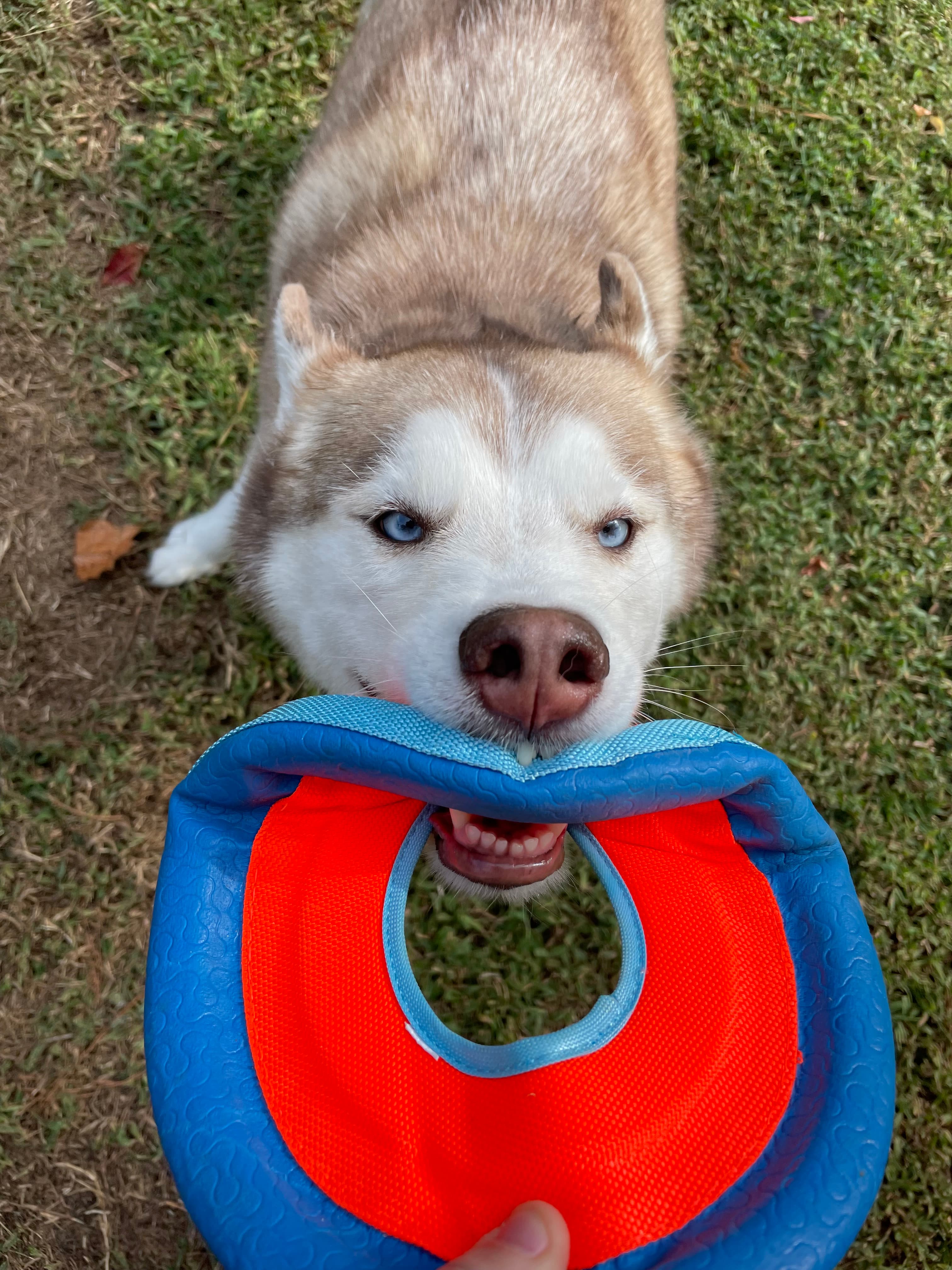She knows exactly how to work that smile